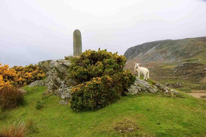 Donegal Coast One Day Self-Guided E-Bike Tour - Meeting Point, Schedule, and Practicalities