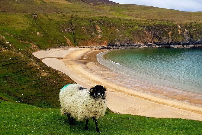 Donegal Private Tour Slieve League & Glenveagh National Park - A Deep Dive into the Experience