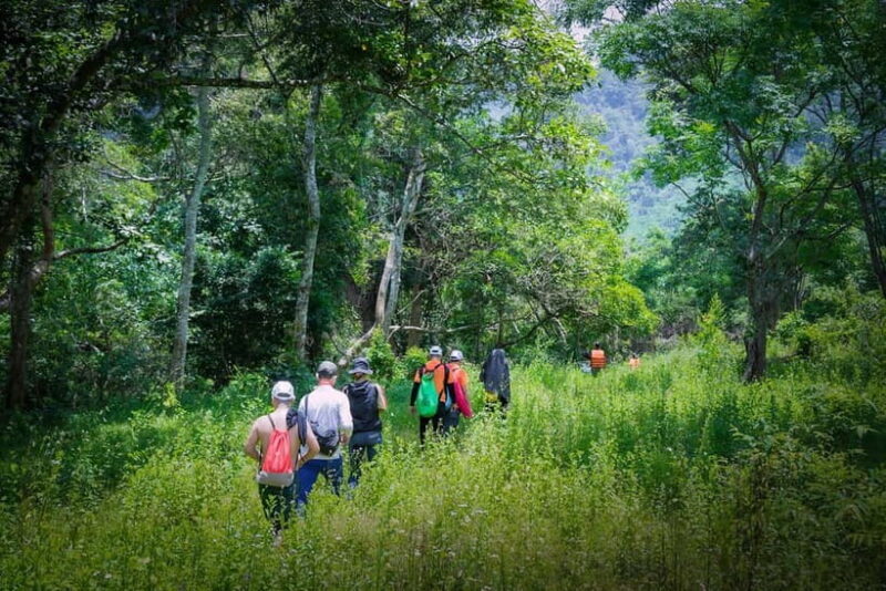 Dong Hoi: Paradise Cave & Phong Nha Botanical Garden Trek - Key Points
