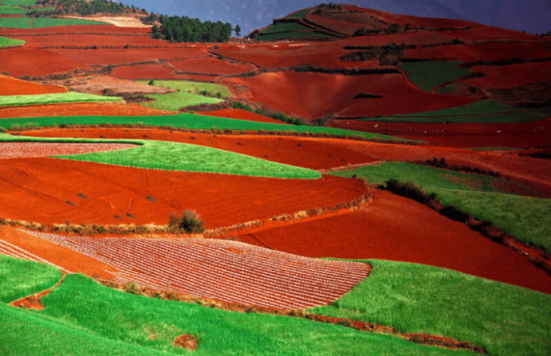 Dongchuan red earth start from Kunming - An In-Depth Look at the Dongchuan Red Earth Tour