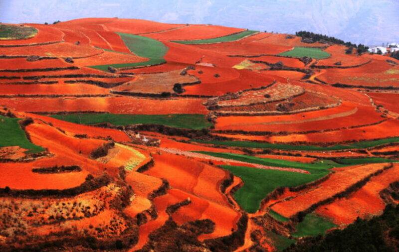 Dongchuan red earth start from Kunming - Analyzing Value and Practicalities