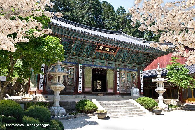 Donghaksa Temple Cherry Blossom and Jeonju Hanok Village - Discover the Charm of South Korea on the Donghaksa Cherry Blossom & Jeonju Hanok Village Tour