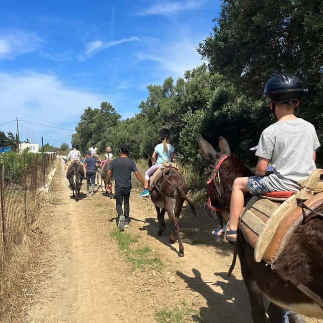 Donkey Ride - Cretan Country - A Deep Dive Into the Crete Donkey Ride Experience