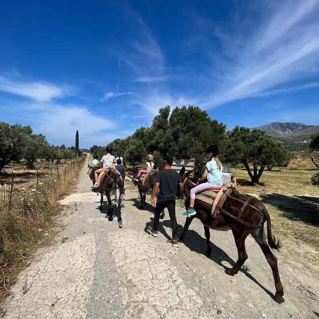 Donkey Ride - Cretan Country - The Sum Up: Who Is This Tour Best For?