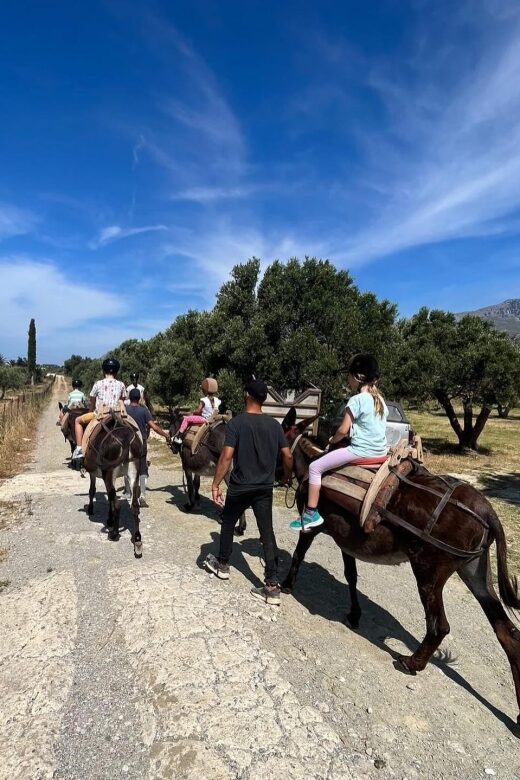 Donkey Ride - Cretan Country - FAQs