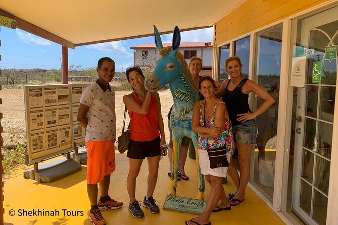 Donkey Sanctuary Tour with a Local Guide - Potential Drawbacks or Considerations