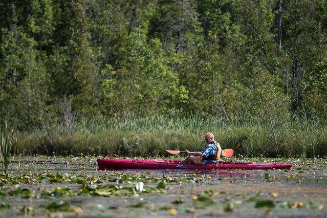 Door County Wetlands Kayak Tour - Key Points