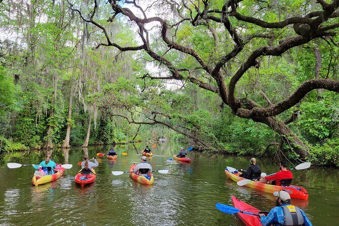 Dora Canal Half-Day Kayak and Paddle Board Rental Adventure - Key Points