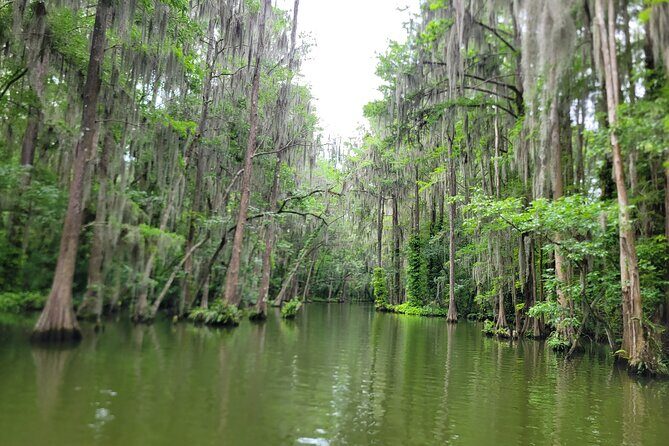 Dora Canal Half-Day Kayak and Paddle Board Rental Adventure - In-Depth Review of the Dora Canal Paddle Adventure