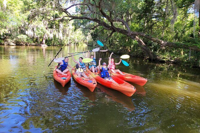 Dora Canal Half-Day Kayak and Paddle Board Rental Adventure - The Sum Up