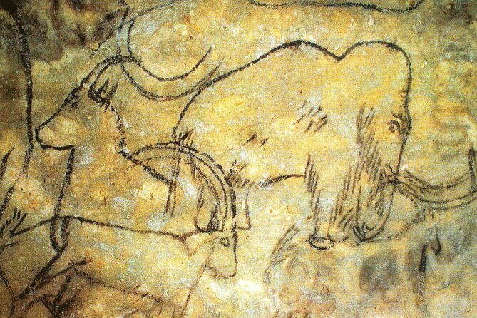 Dordogne Day Tour : Prehistory and The Art of the Caves from Sarlat - A Closer Look at the Experience