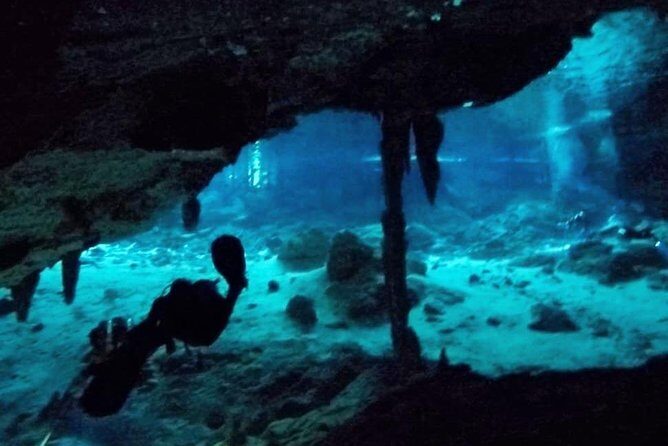 Dos Ojos Cenote Cavern Dive- The Barbie Line and The Bat Cave - An In-Depth Look at the Dos Ojos Cenote Experience