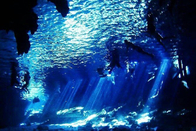 Dos Ojos Cenote Cavern Dive- The Barbie Line and The Bat Cave - Who Is This Tour Best For?