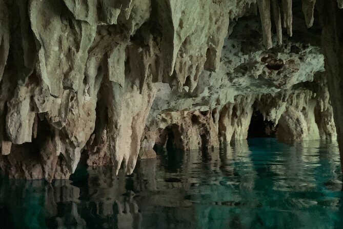 Dos Ojos Cenote VIP Private Tour  Snorkeling & Mayan Lunch - Why the Praise? Real Travelers Speak