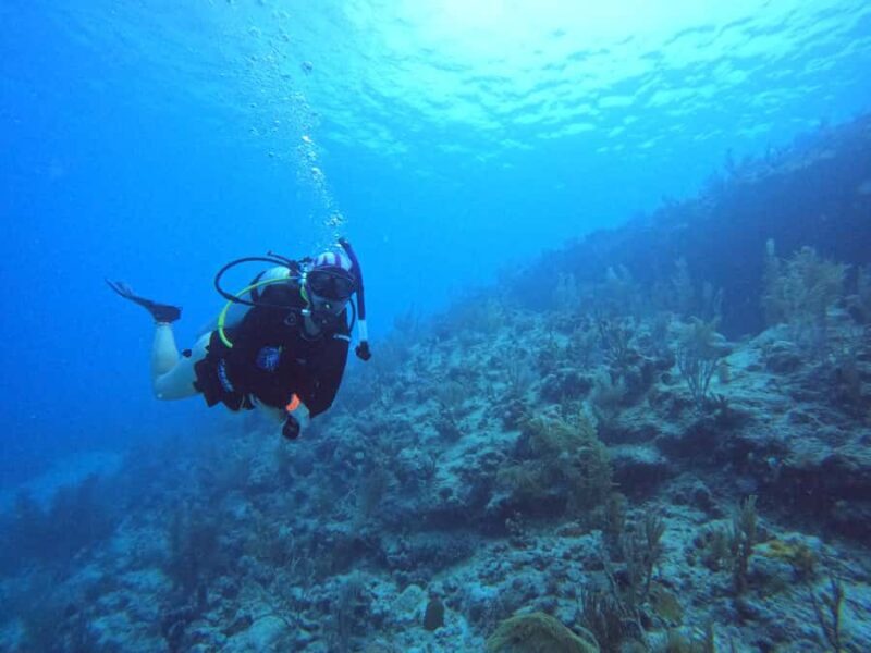 Double Dive for Certified Divers - Who Will Love This Tour?