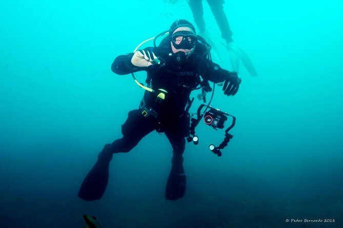 Double dive in the Algarve. Don't stop on the beach! - Key Points