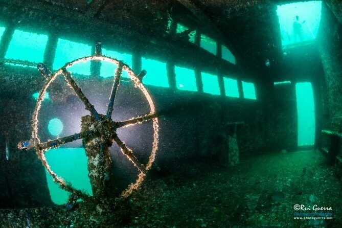 Double Dive the Fantastic Ocean Revival Park - Key Points