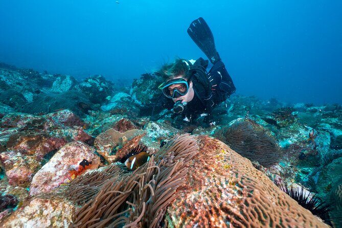 Double Dive to South Solitary Island Coffs Harbour - What Happens Before the Dives?