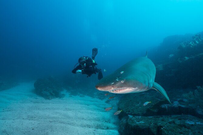 Double Dive to South Solitary Island Coffs Harbour - Surface Interval & Snacks