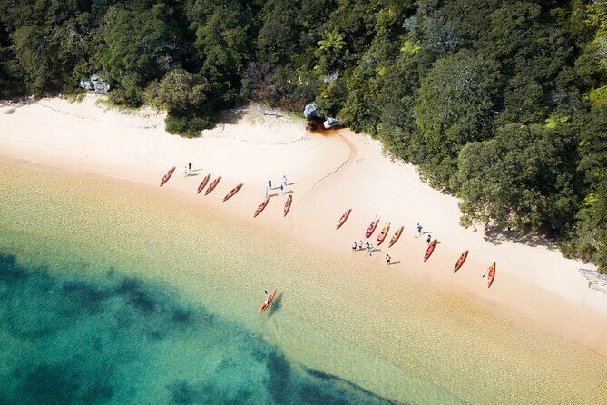 Double Kayak Hire - 4 Hours - Exploring Sydney from the Water: A Deep Dive