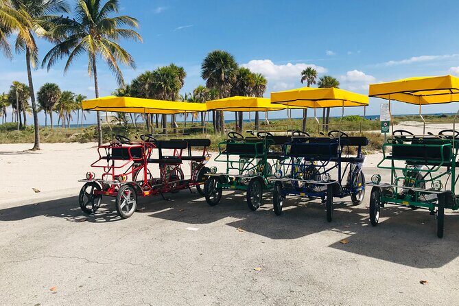 Double Quadricycle/Surrey Rental at Crandon Park - Key Points