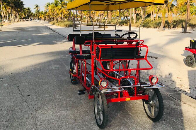 Double Quadricycle/Surrey Rental at Crandon Park - Who Should Consider This Experience?