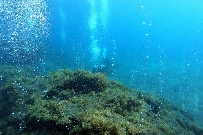 Double Scuba Diving - The Sum Up