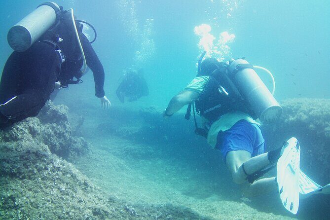 Double Shore Dive (certified divers) - Frequently Asked Questions