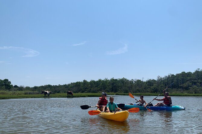 Double Sit on Top Kayak Rental at Assateague Island, MD - Discovering Assateagues Waters: A Practical Review of the Kayak Rental Experience