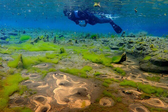 Double Snorkeling Adventure near Húsavík in North Iceland - Exploring the Double Snorkeling Adventure: An In-Depth Review