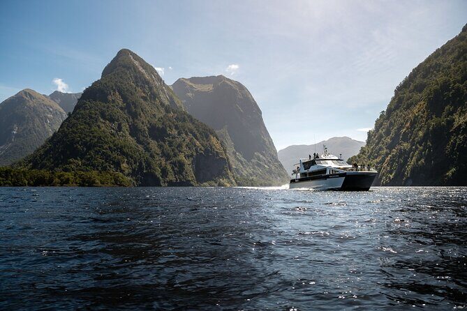 Doubtful Sound Wilderness Cruise from Queenstown - The Value of This Tour