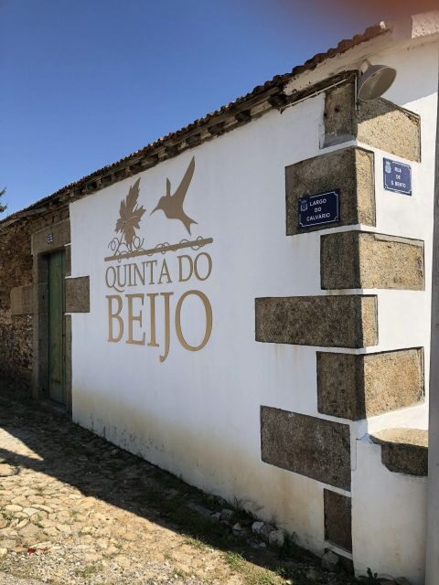 Douro: Classic Wine Tasting with Guided Tour - Douro: Classic Wine Tasting with Guided Tour — A Deep Dive into Portugal’s Quintessential Wine Region