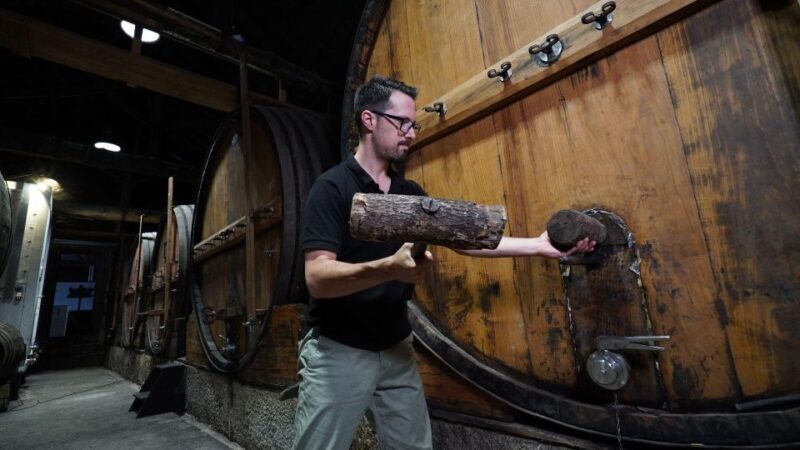 Douro: Classic Wine Tasting with Guided Tour - Key Points