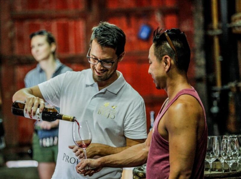 Douro: Classic Wine Tasting with Guided Tour - Who Will Love This Tour?