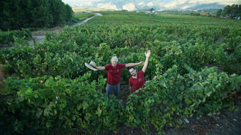 Douro: Classic Wine Tasting with Guided Tour - Frequently Asked Questions