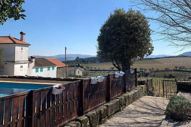 Douro Full Day Tour with Wine Tasting and Lunch - The Full Experience: A Deep Dive