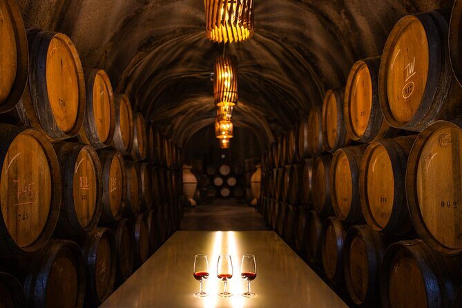 Douro Luxury - Douro Private Cruise with Premium Winery and Restaurant - Exploring the Douro Luxury Private Tour: What to Expect