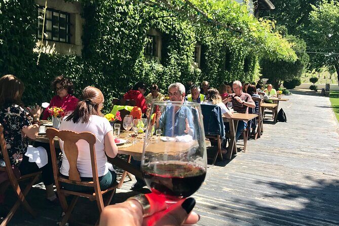 Douro: luxury walking tour with full lunch at Quinta da Pacheca - An In-Depth Look at the Douro Luxury Walking Tour