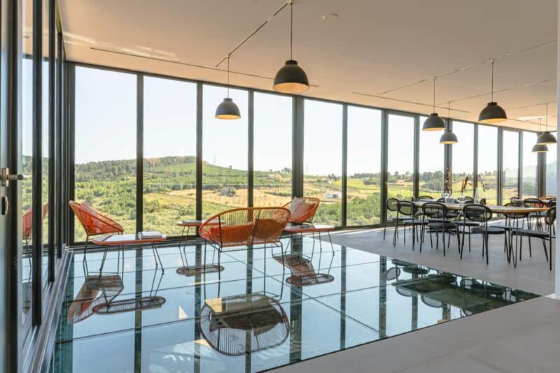 Douro: Martha's Cellar - Visit and Tawny Tasting - In-Depth Review