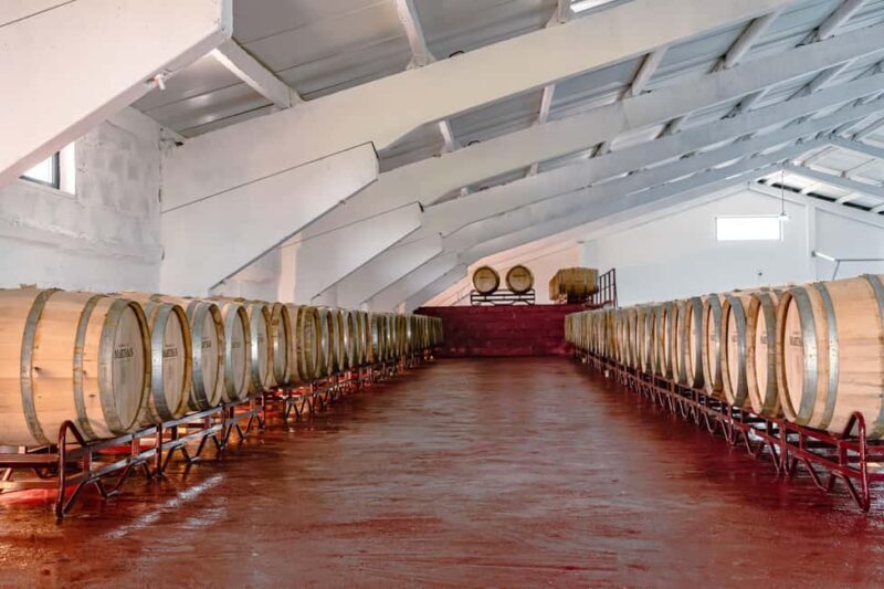 Douro: Martha's Harvest - DOC Wine Tour and Tasting - Frequently Asked Questions