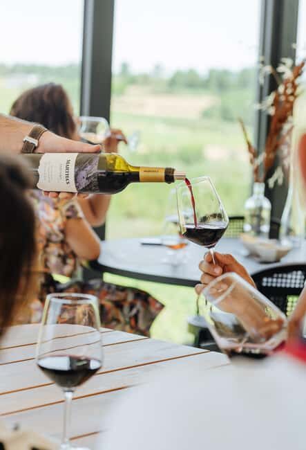 Douro: Martha's Selection - Premium Wine Tour and Tasting - A Closer Look at the Tour Experience