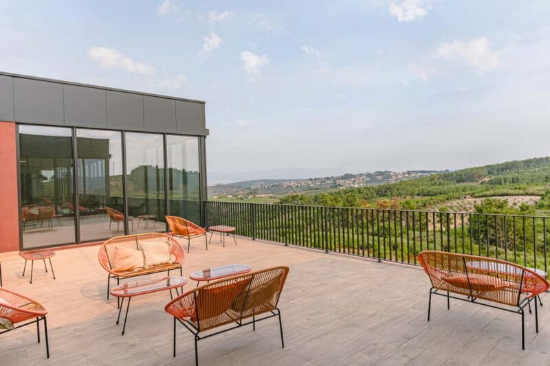 Douro: Martha's Selection - Premium Wine Tour and Tasting - Practical Details and Tips