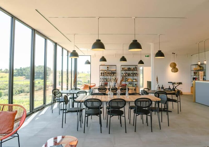 Douro: Martha's Welcome - Wine Tour and Tasting - Who Is This Tour Best For?
