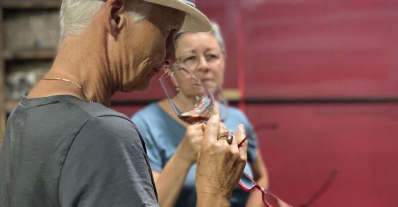 Douro: Porto Wine Tasting with Guided Tour - Gourmet Pairings