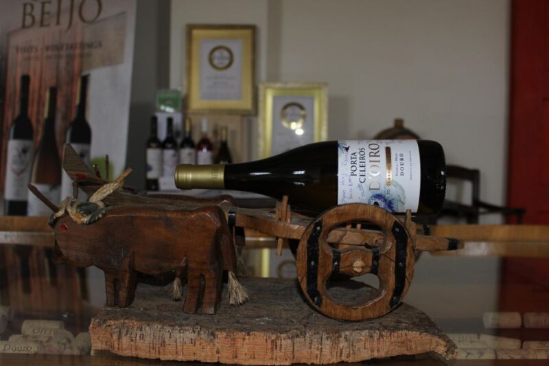 Douro: Porto Wine Tasting with Guided Tour - Free Time and Shopping