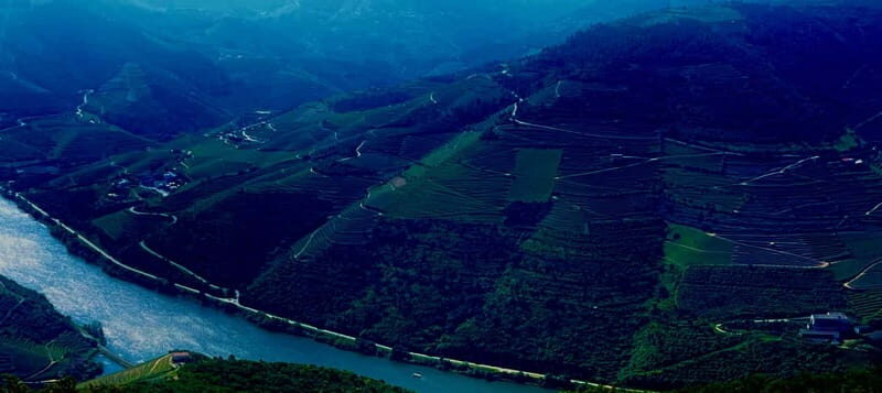 DOURO PREMIUM - Exploring the Douro Premium Tour: An Elegant Taste of Portugal’s Vineyard Paradise