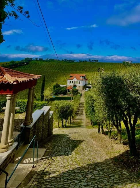 DOURO PREMIUM - Final Thoughts