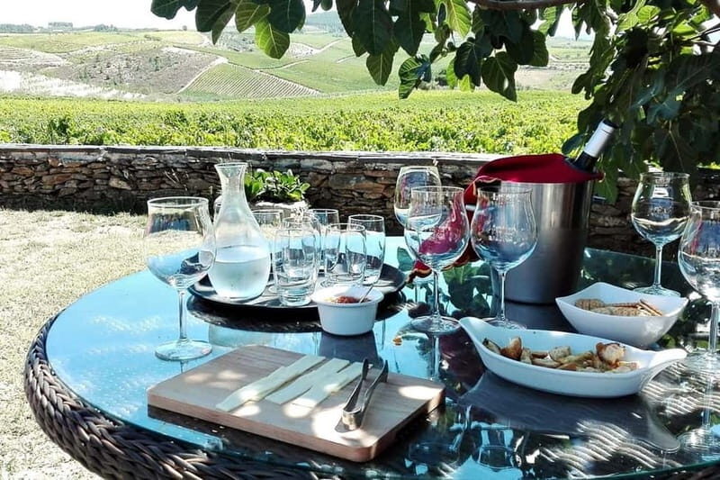 Douro Private Tour  Customizable Experience - Exploring the Douro Valley: A Deep Dive