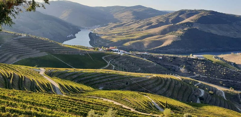 Douro Private Tour  Customizable Experience - Considerations and Final Thoughts
