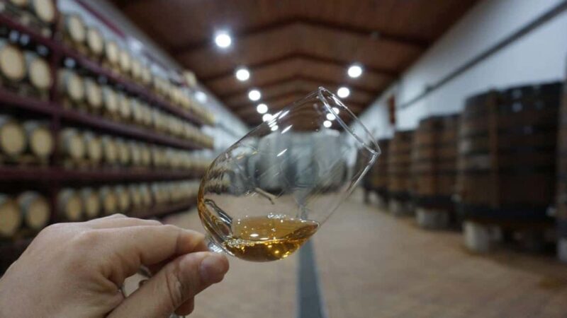 Douro: Quinta Levandeira do Roncão Tour & Wine Tasting - The Experience in Detail